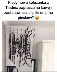 IMG_6890.jpeg