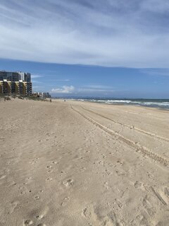 IMG_0335.jpeg