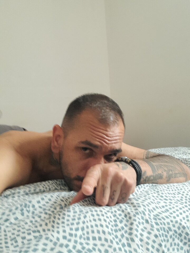 17901627735437354887814455489104.jpg - Palmucii