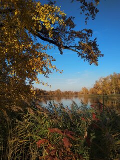 IMG_20211031_145546.jpg