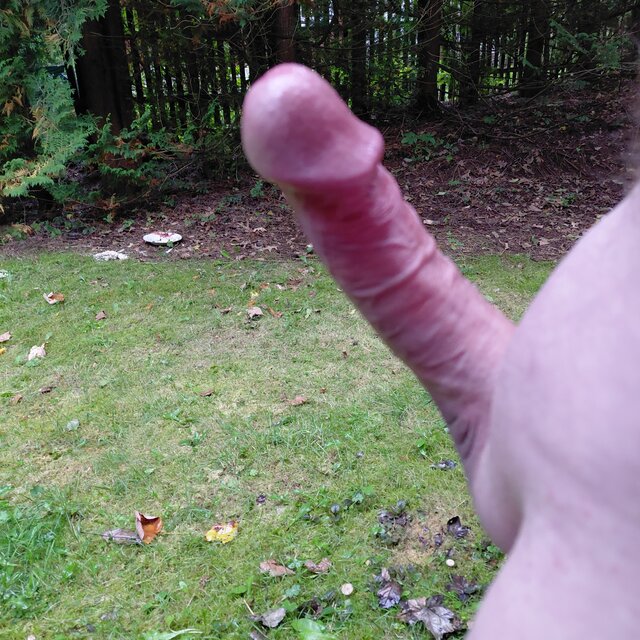 hej34