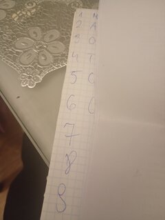 14370.jpg