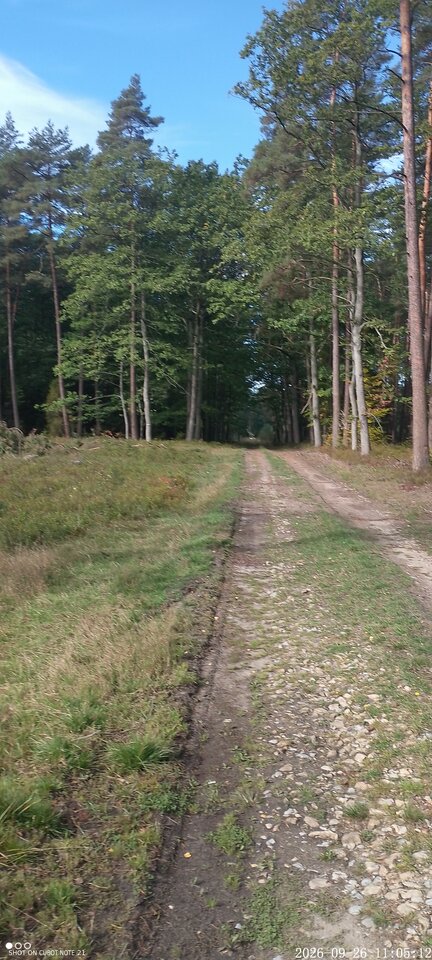 1000008598.jpg - Sadeksce190
