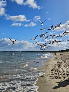 IMG_4679.jpeg