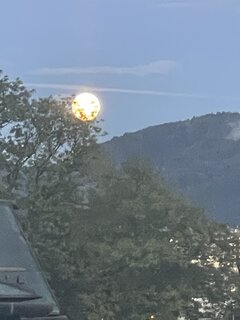 IMG_2457.jpeg