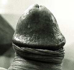 20260919_005240.jpg