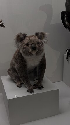 IMG_4037.jpeg
