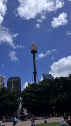 IMG_3988.jpeg