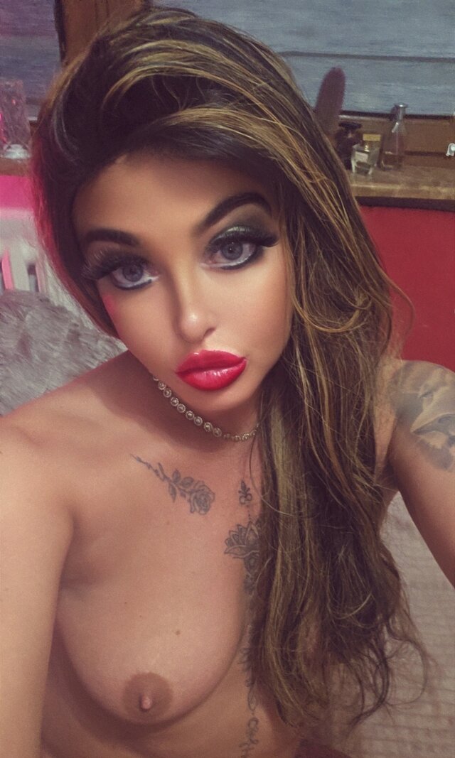 NiewyzytaKocica84