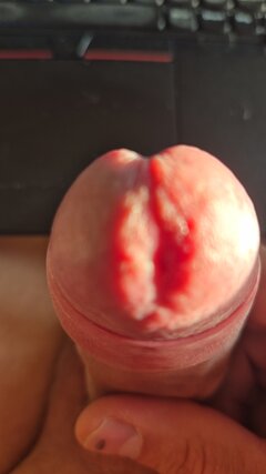 IMG-20260927-WA0009.jpeg