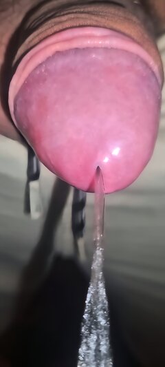 1000105240.jpg