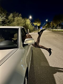 Nie wszystko dzieje się w środku 🔥😈🔥😈 🚕 🚀