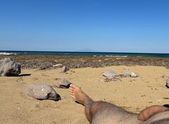 IMG_1387.jpeg