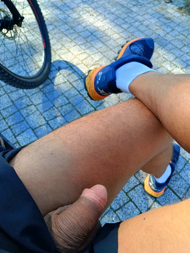 analizator29