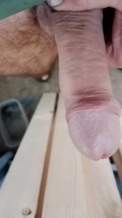 1000019131.jpg