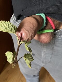 IMG_0039.jpeg