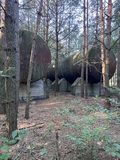 IMG_2333.jpeg