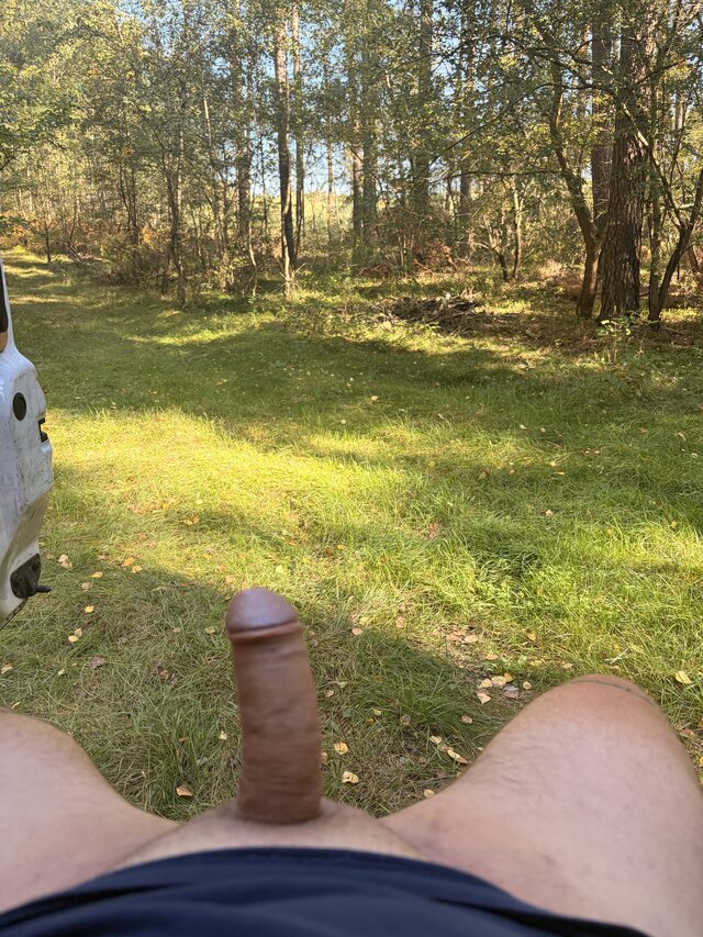BM1511