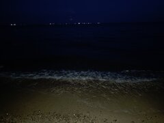 2909.jpg