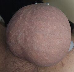 1000053912.jpg