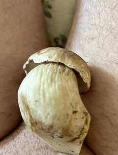 IMG_6317.jpeg