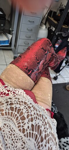 25073.jpg