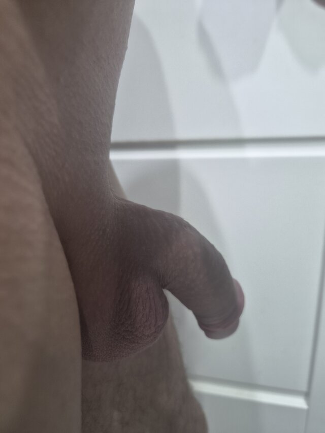 Przgladacz