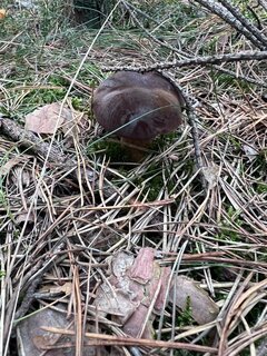IMG_2405.jpeg