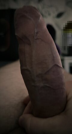 IMG_3312.jpeg