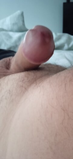 IMG_20260825_103852.jpg
