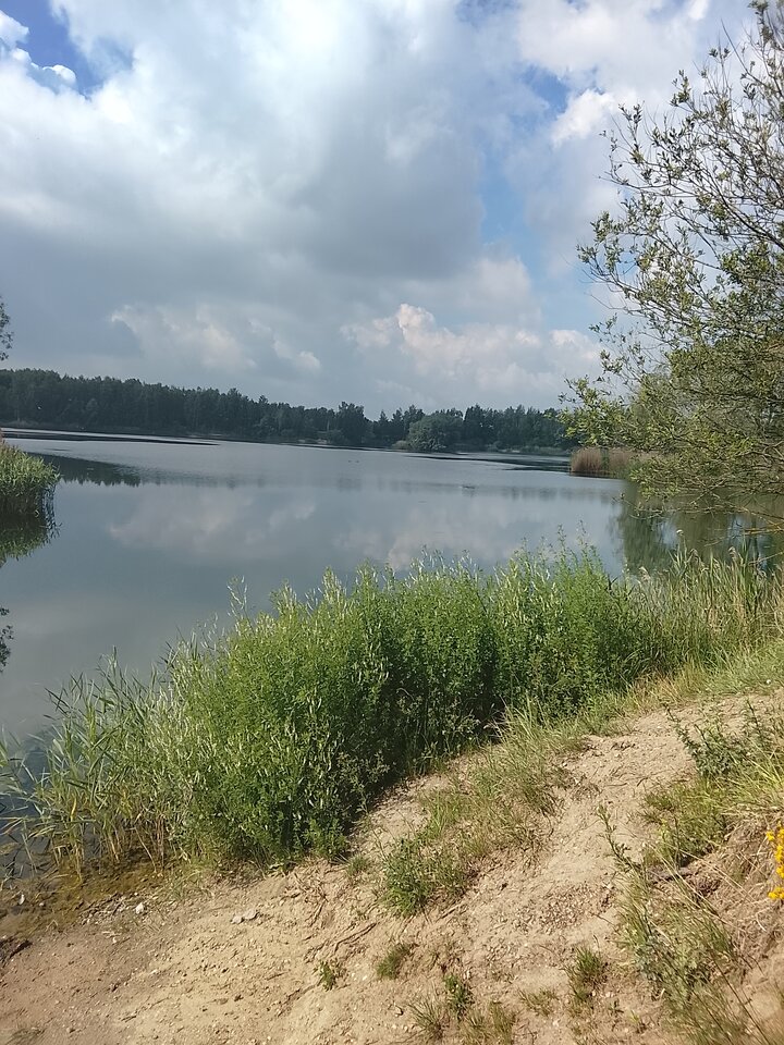 317.jpg - Tajemnica83
