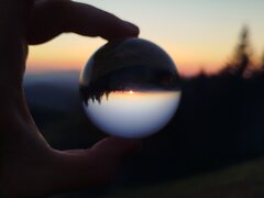1000020123.jpg
