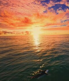 4131.jpg