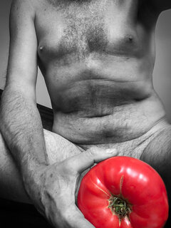 Pomidor