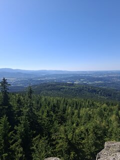 1000031680.jpg