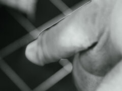 IMG_2917.jpeg
