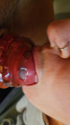 20260919_133544.jpg
