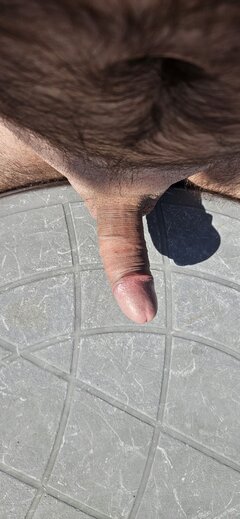 1000047094.jpg