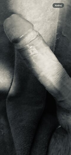 IMG_2184.jpeg