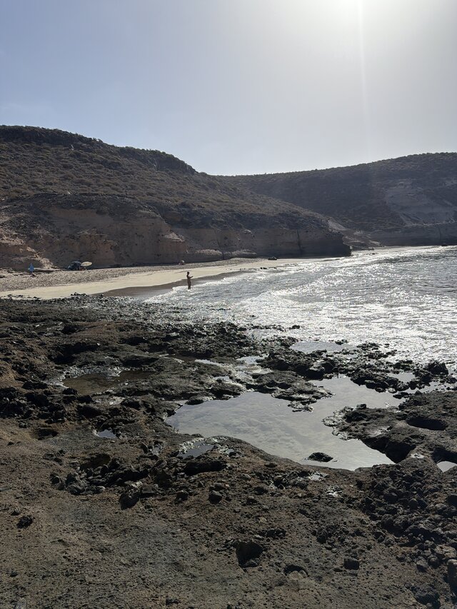 Onjaspis