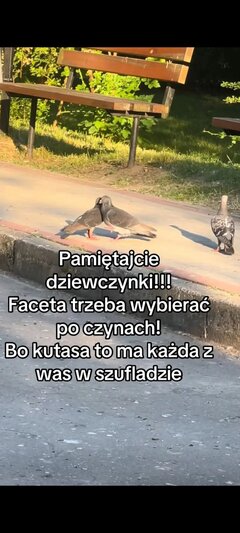Screenshot_2026-10-04-18-14-03-75_e5d3893ac03954c6bb675ef2555b87
