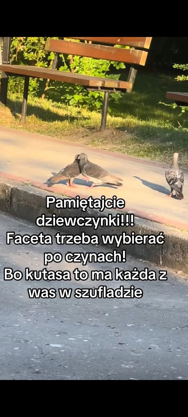 Spragnieniprzyjemnosci
