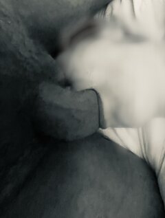 IMG_2275.jpeg
