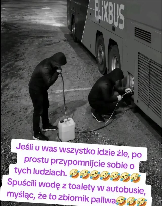 woytas80