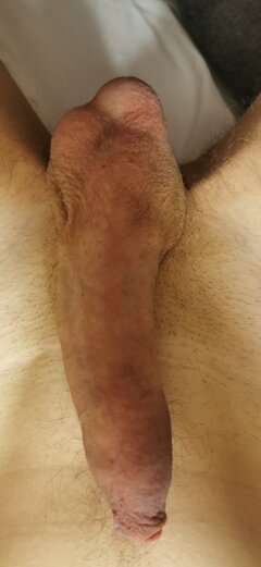 IMG_20261006_034244.jpg