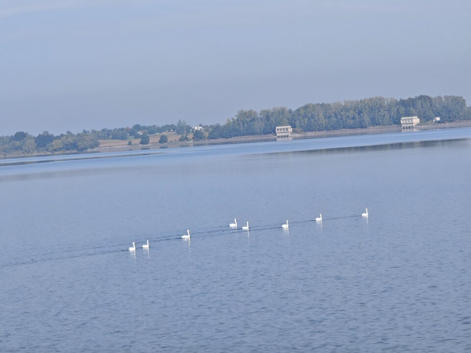1000015698.jpg - TrzynasteDzieckoBABAJAGI