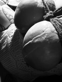 IMG_3913.jpeg