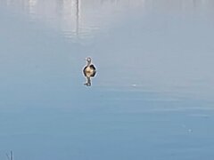 20261006_102749.jpg