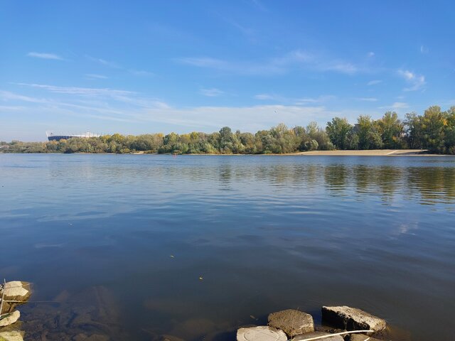 Chiroptera1962