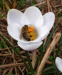 IMG_20230319_140102094~2.jpg